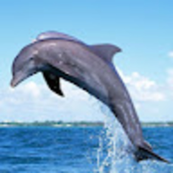 Meet your Posher, Leira - Picture 1 of 1